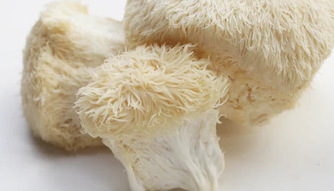 Lion's Mane Mushroom Gummies: Benefits For Brain Health And Focus